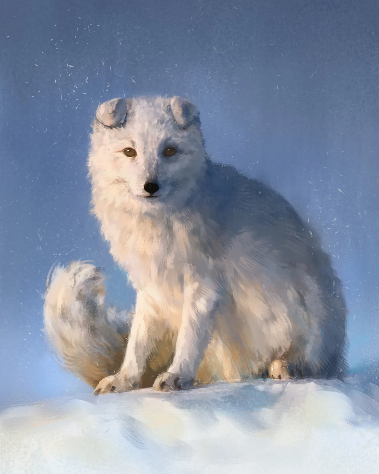Arctic fox with folded ears sitting on the snow against a blue background with snow flecks in the air